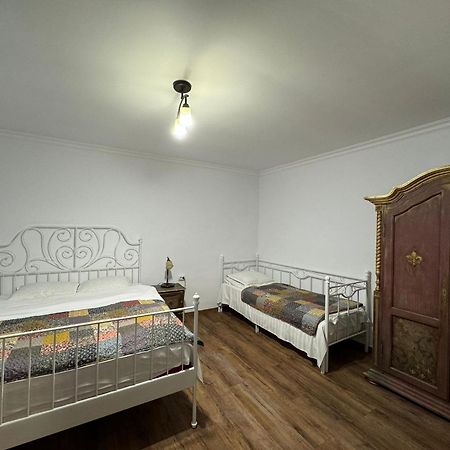 Vila Speranta Pleşcoi Exterior foto