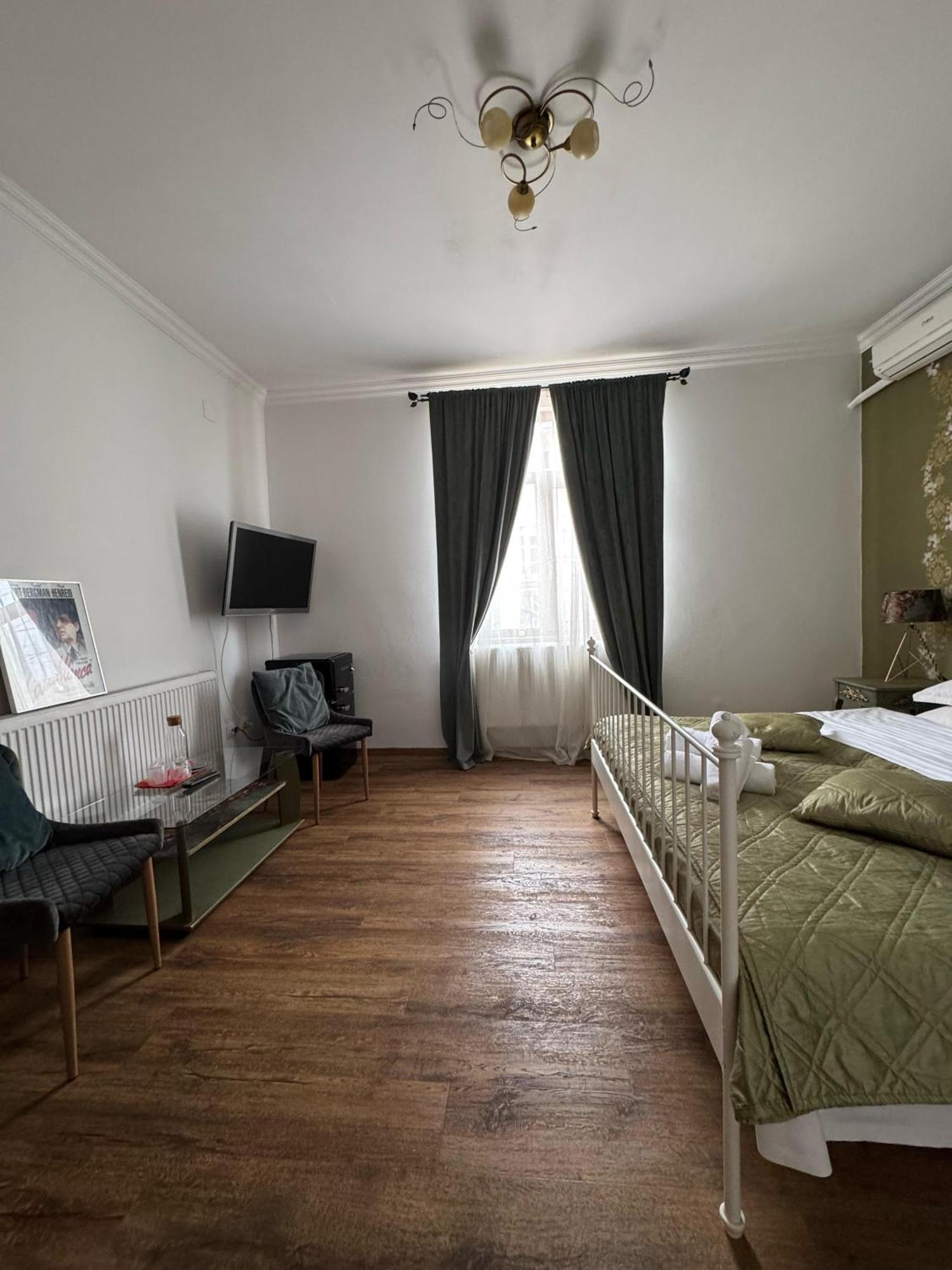 Vila Speranta Pleşcoi Habitación foto